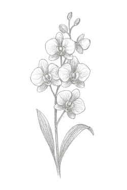 Hintergrundgrafik Asien-Stil