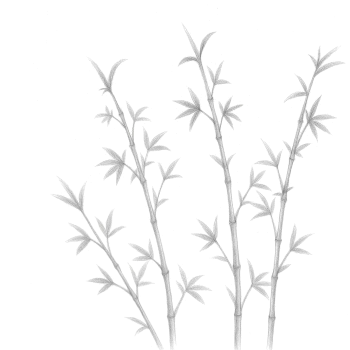 Hintergrundgrafik Asien-Stil