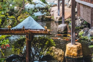 Warmer Teich mit Kois in Kinosaki, Japan