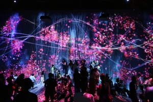Odaiba & TeamLab in Tokio, Japan