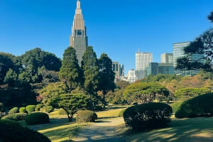 Shinjuku Gyoen in Tokio. Auf dem Foto sieht man einen weitläufigen Stadtpark, der japanische, französische und englische Gartenstile verbindet