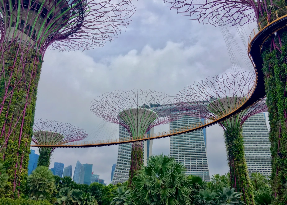 Blick von unten auf die Supertrees in Singapur und dem OCBC Skyway auf der Höhe von etwa 22 Metern